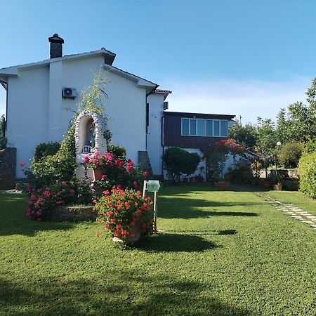 B&B Le Cinque Querce Viterbo Eksteriør billede