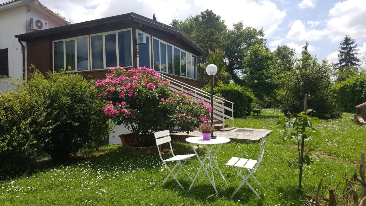B&B Le Cinque Querce Viterbo Eksteriør billede