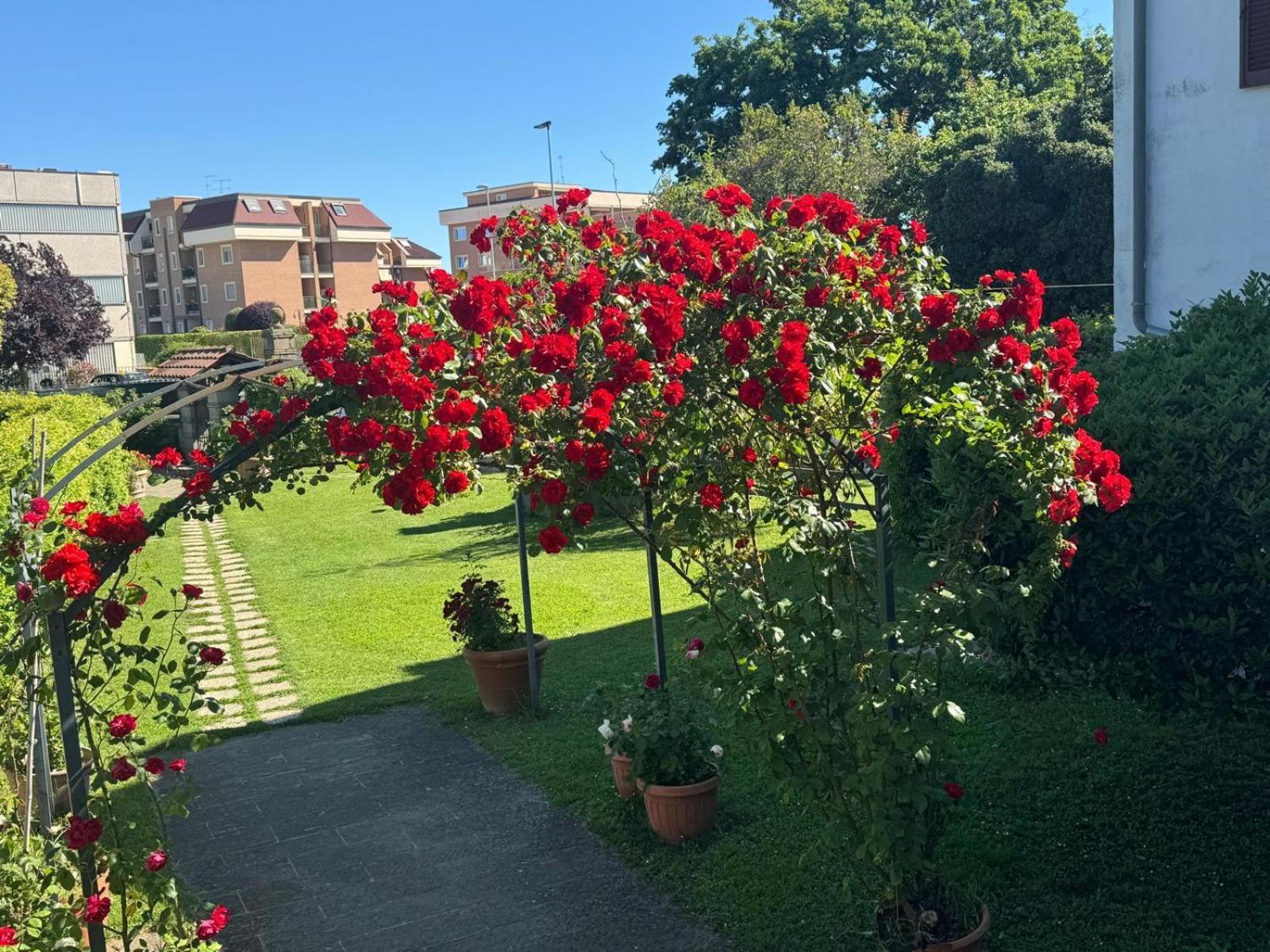 B&B Le Cinque Querce Viterbo Eksteriør billede
